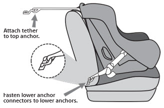 Seat Belts & LATCH Seat Belts & LATCH