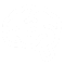 What is a concussion?